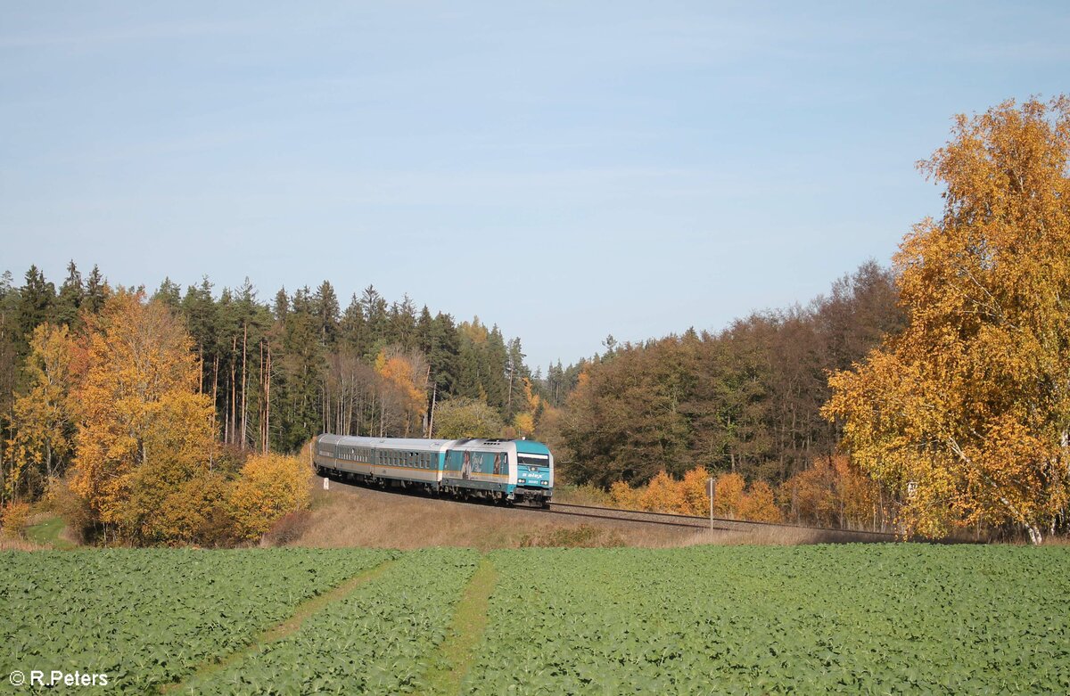 223 072 Gria di Allgu mit dem ALX 798....Hof - Mnchen bei Oberteich. 31.10.22