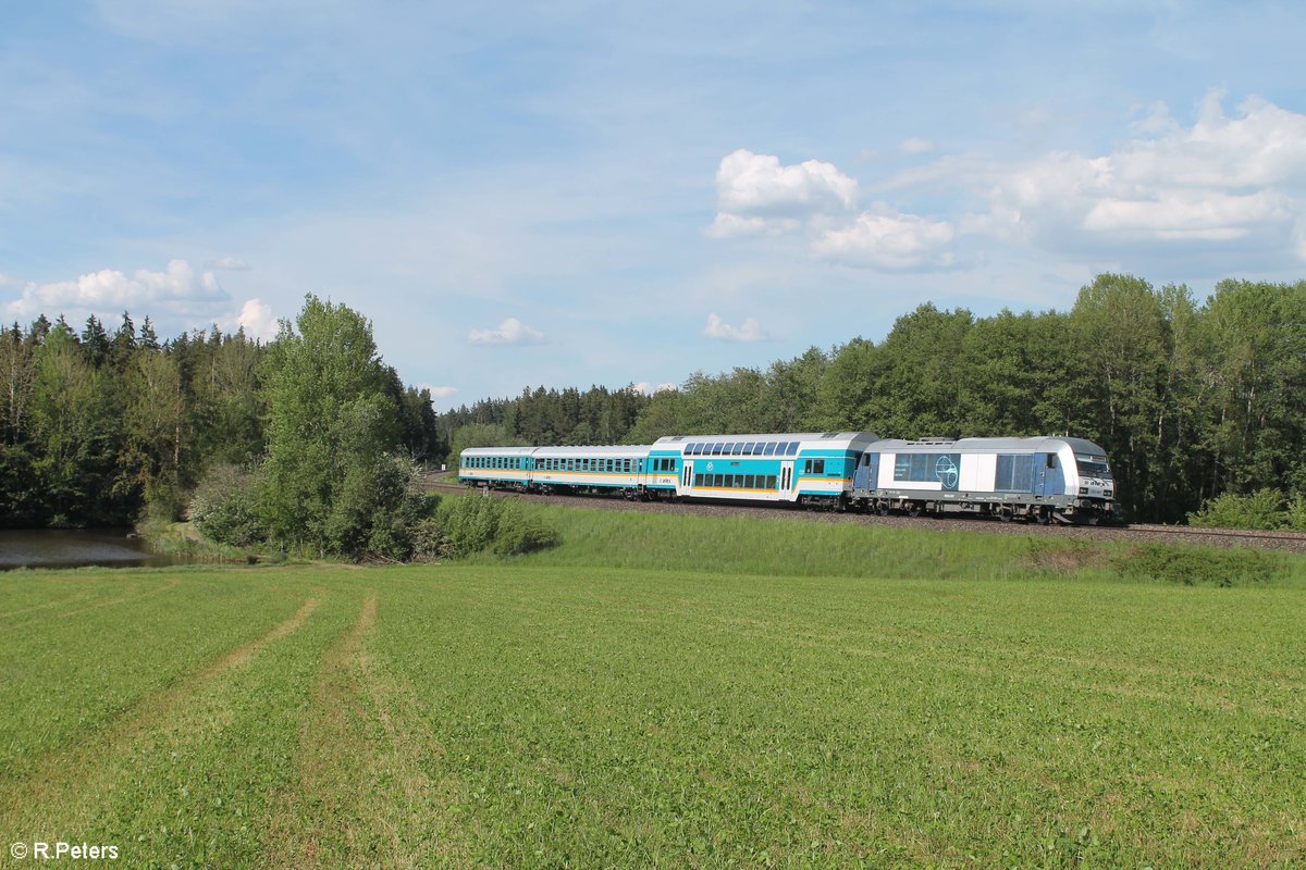 223 081 alias D81 zieht den ALX79856 Hof - München bei Obeteich. 02.06.19