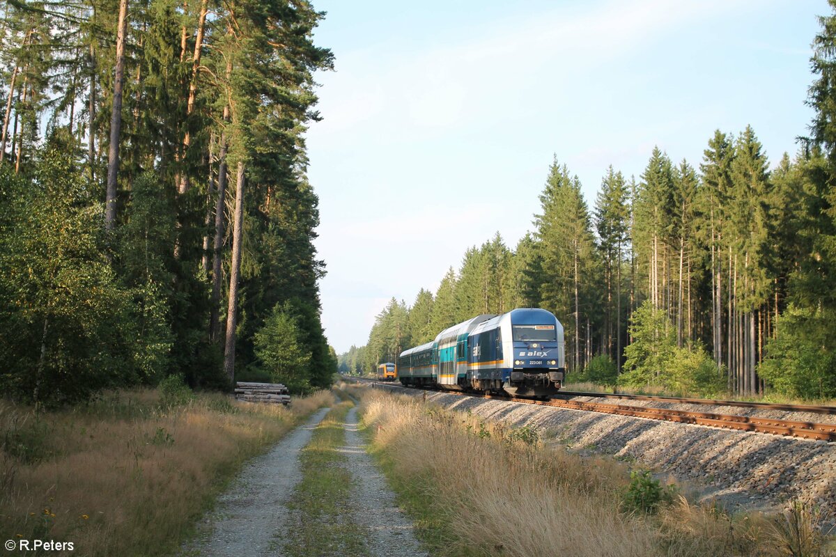 223 081 mit dem ALX RE2 79852 Hof - München zwischen Wiesau und Reuth. 13.08.21