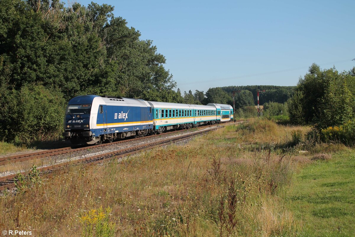 223 081 mit dem ALX RE2 79861 München - Hof in Reuth bei Erbendorf. 14.08.21