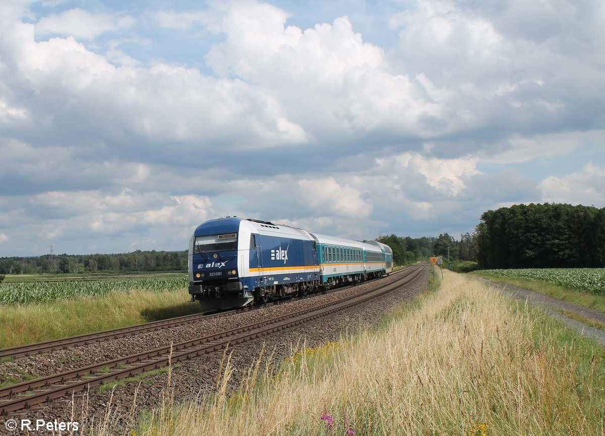 223 081 zieht bei Oberteich den ALX79669 München - Hof 11.07.20