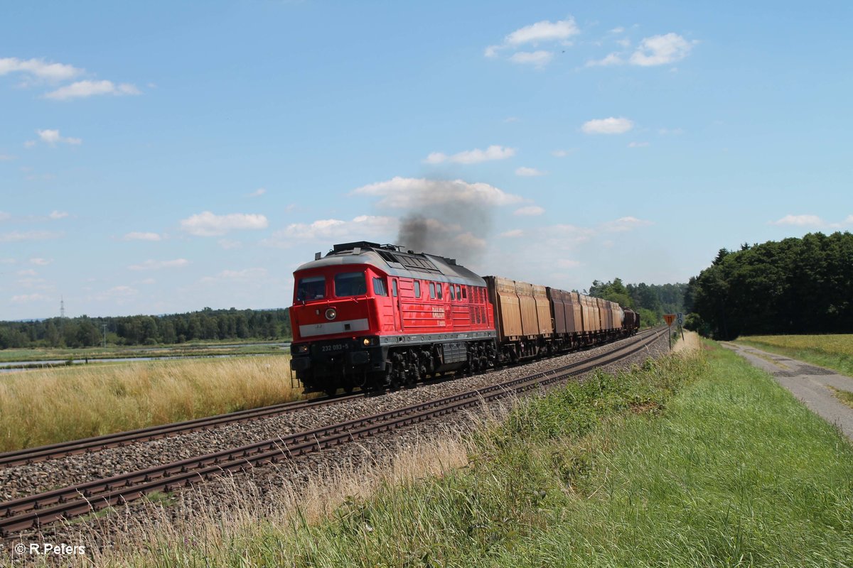 223 093-5 zieht bei Oberteich den 45365 NNR - XTCH. 066.07.16