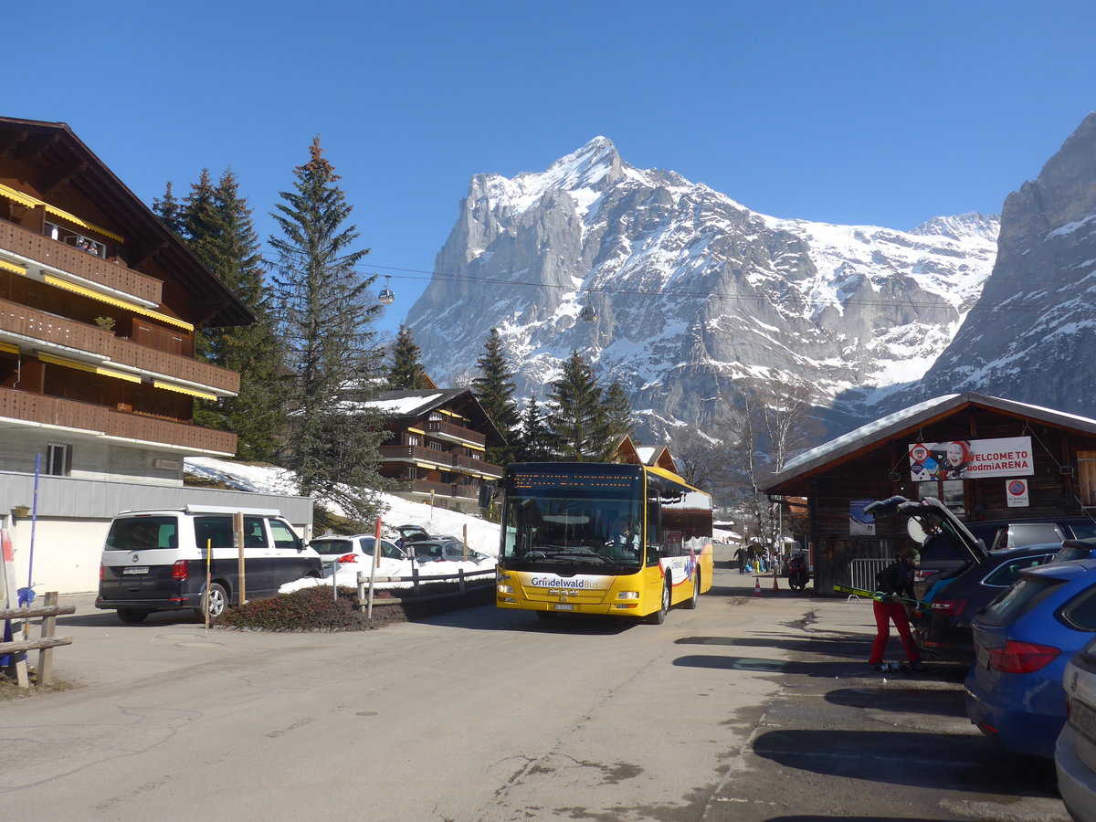 (223'866) - Grindelwaldbus, Grindelwald - Nr. 19/BE 363'305 - MAN/Gppel am 28. Februar 2021 in Grindelwald, Terrassenweg