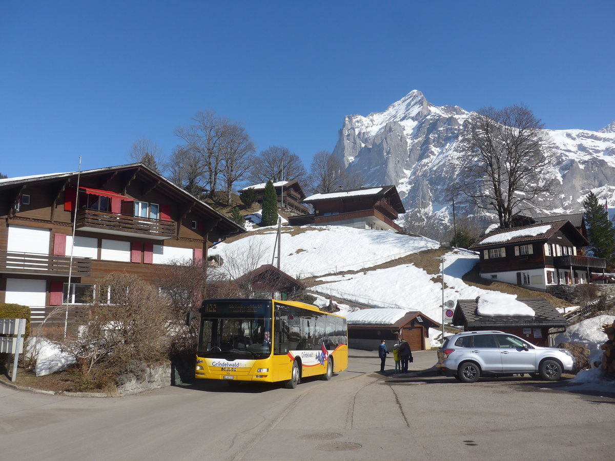 (223'873) - Grindelwaldbus, Grindelwald - Nr. 13/BE 407'170 - MAN/Gppel am 28. Februar 2021 in Grindelwald, Terrassenweg