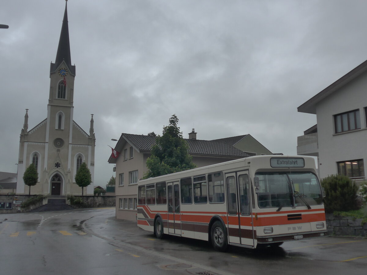 (225'797) - Wegmller, Mnsingen - BE 399'675 - FBW/R&J (ex Bamert, Wollerau) am 6. Juni 2021 in Doppleschwand, Landgasthof Linde