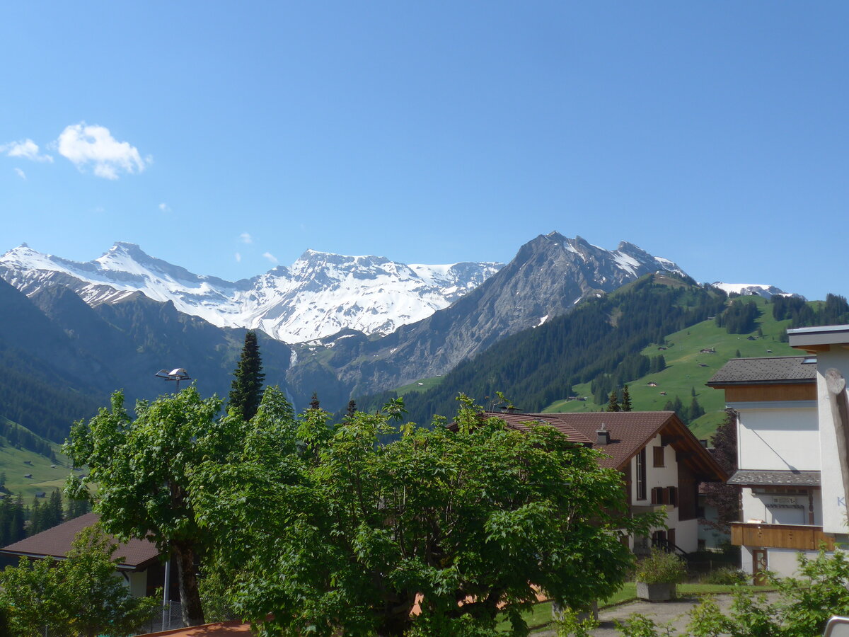 (225'922) - Tschingellochtighorn, Steghorn, Wildstrubel und Fitzer am 16. Juni 2021 von Adelboden aus