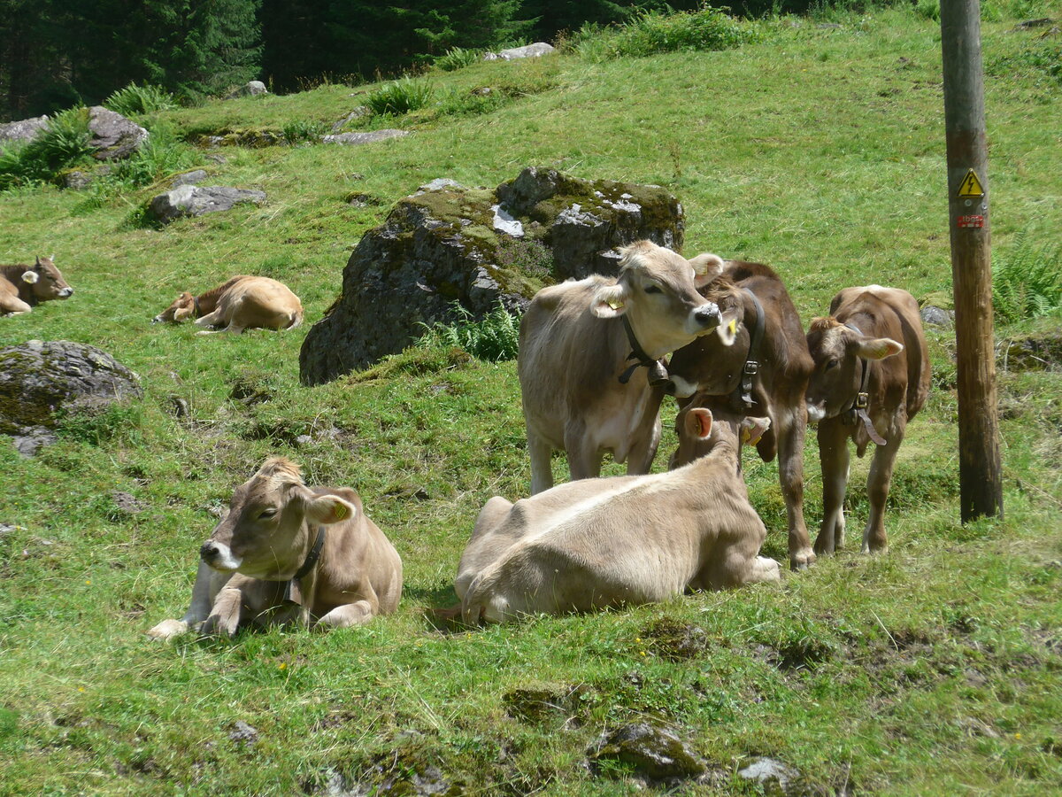 (226'443) - Khe am 12. Juli 2021 in Schwanden, Kies