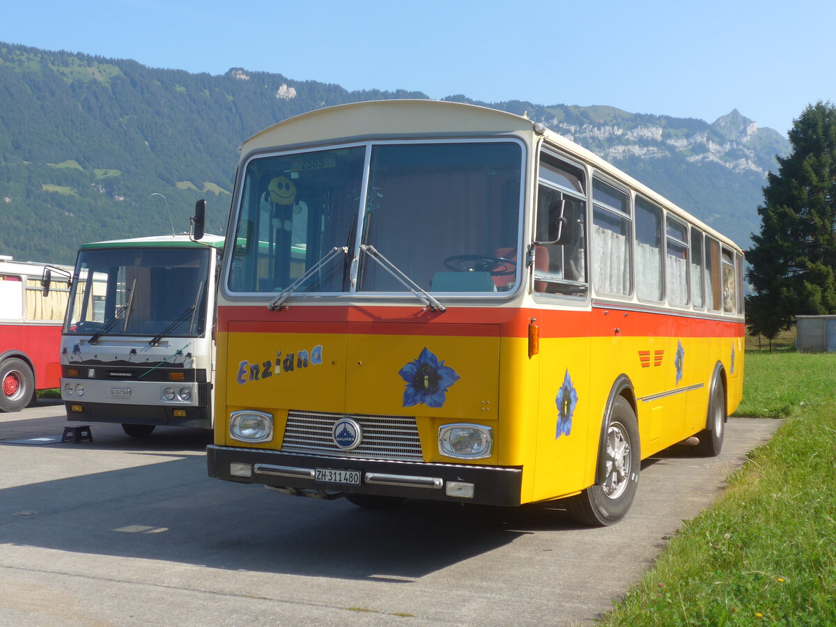 (227'412) - Ghwiler, Birmensdorf - ZH 311'480 - Saurer/Tscher (ex AVG Grindelwald Nr. 12; ex Steiger, Schlatt) am 21. August 2021 in Interlaken, Flugplatz