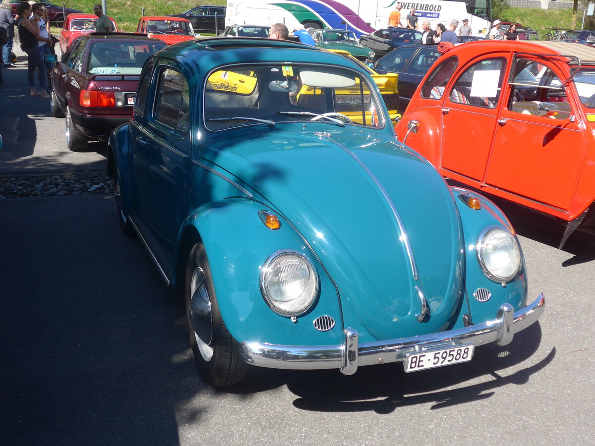 (227'823) - VW-Kfer - BE 59'588 - am 5. September 2021 in Reichenbach