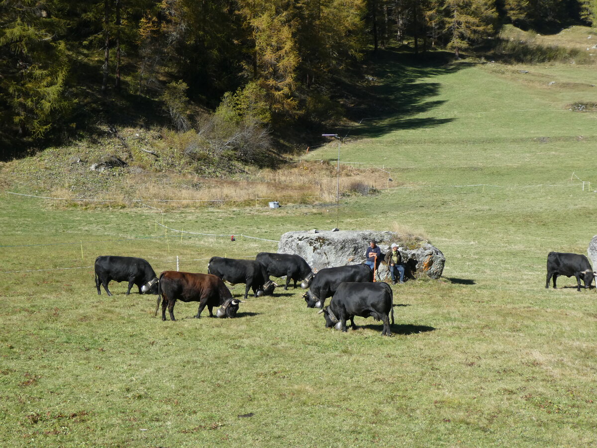 (228'762) - Eringer Khe am 10. Oktober 2021 bei Arolla