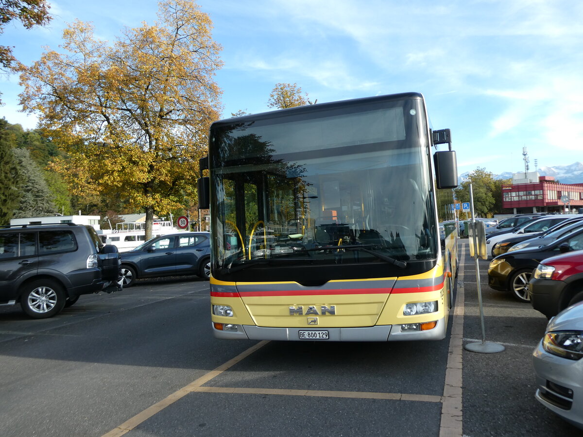 (229'435) - STI Thun - Nr. 129/BE 800'129 - MAN am 18. Oktober 2021 in Thun, CarTerminal