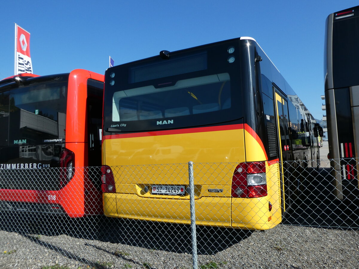 (229'776) - Lienert&Ehrler, Einsiedeln - SZ 34'249 - MAN am 23. Oktober 2021 in Schmerikon, Thomann