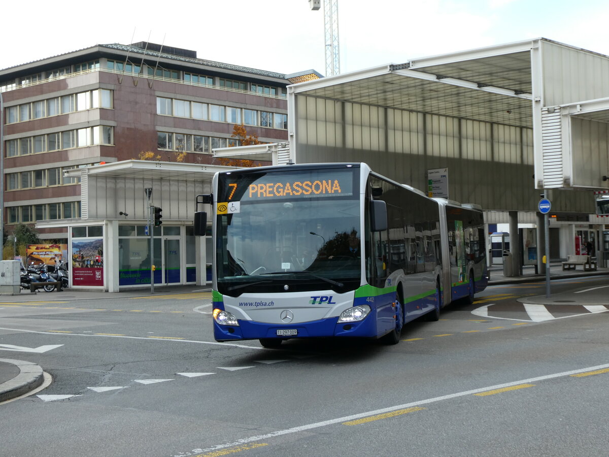 (230'375) - TPL Lugano - Nr. 442/TI 297'009 - Mercedes am 10. November 2021 in Lugano, Centro