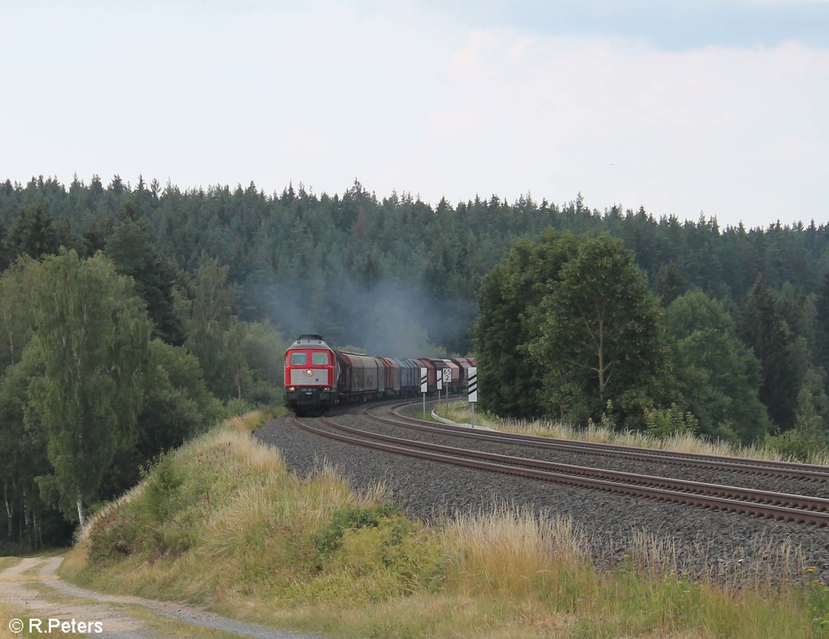 232 201 zieht den EZ 51716 Nürnberg - Senftenberg bei Neudes. 15.07.18