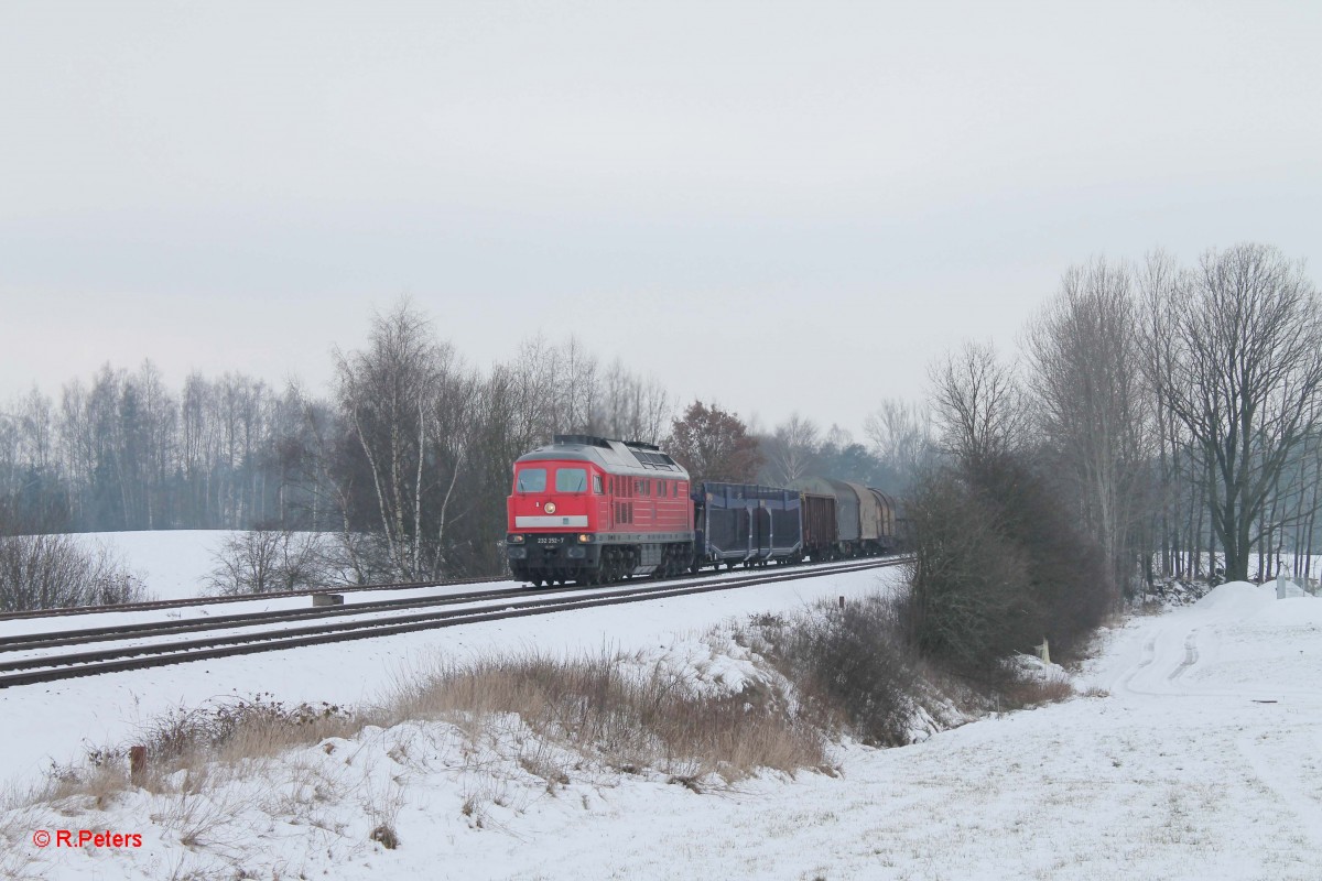 232 252-7 mit dem 45365 Nürnberg - Marktredwitz bei Schönfeld. 31.01.14