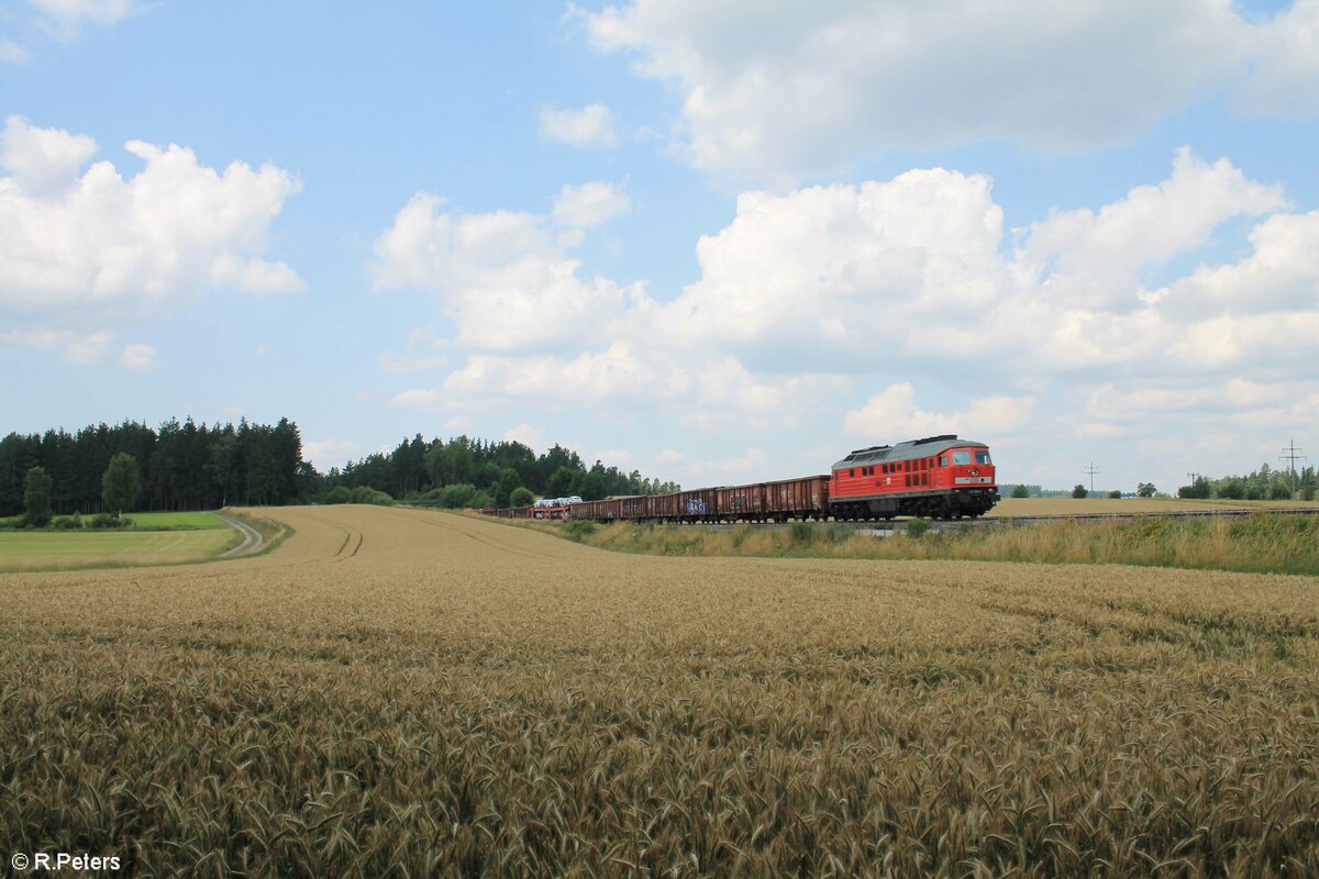 232 254 mit der Zwickauer Zusatzfracht  EZ 68320 nach Nürnberg bei Unterthölau. 23.07.21