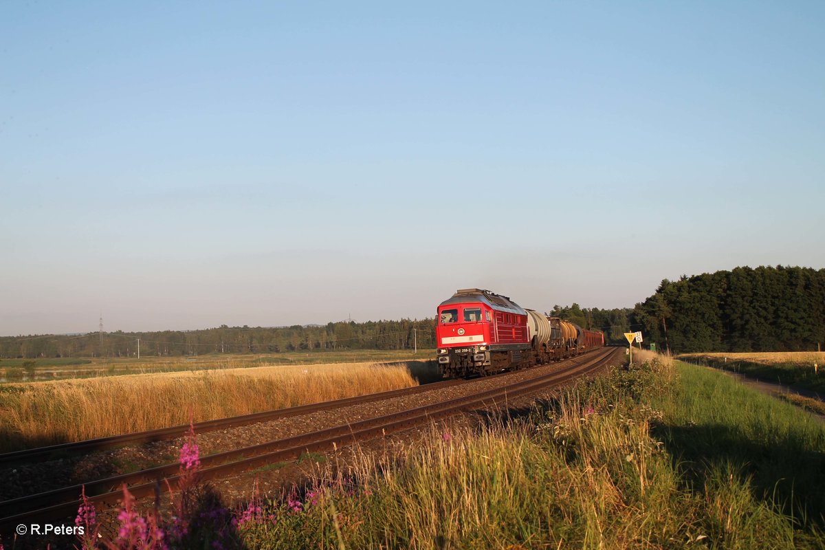 232 259-2 zieht bei Oberteich den 51716 Nürnberg - Leipzig Engelsdorf. 20.07.16