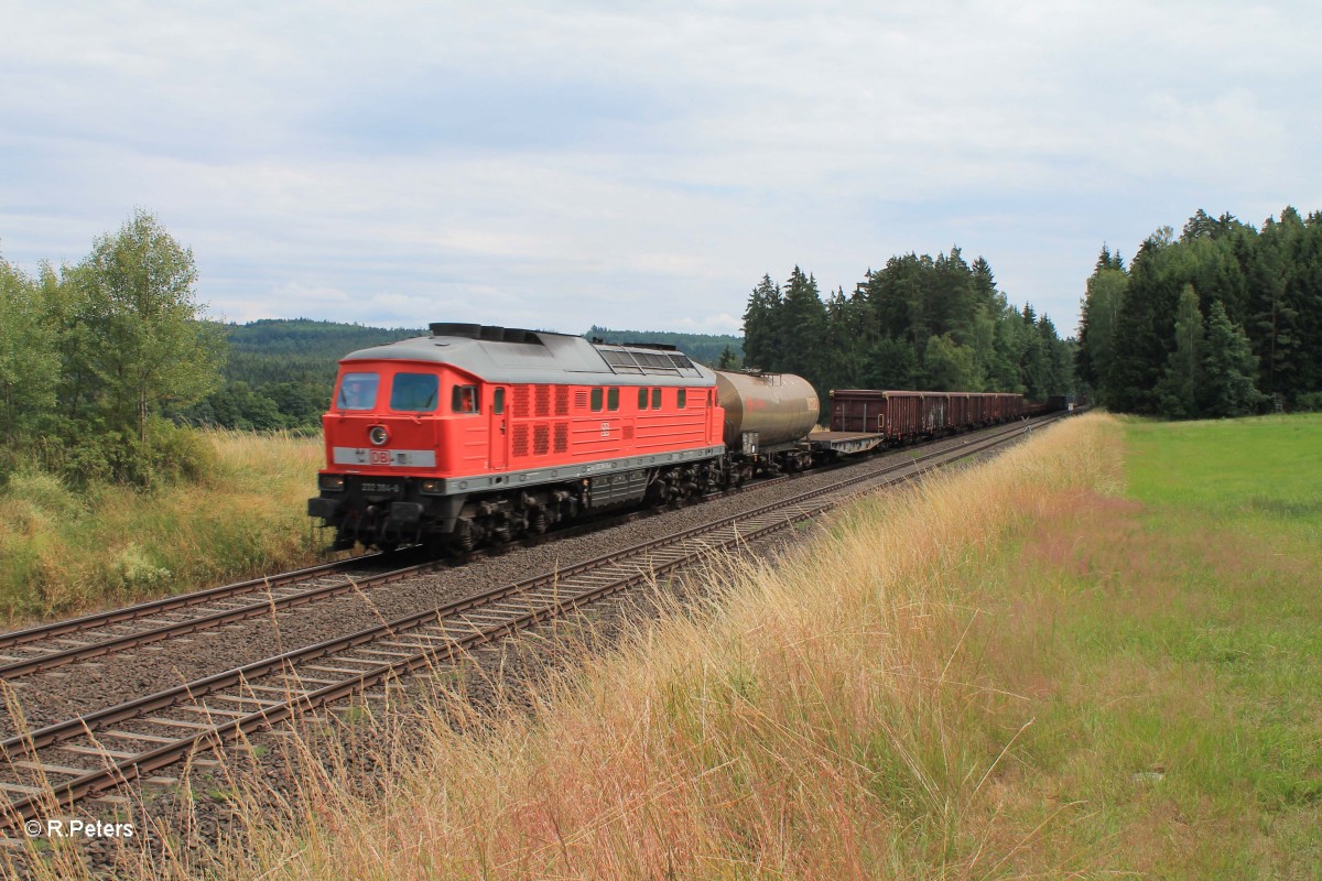 232 384-8 mit dem 45365 bei Pechbrunn. 07.07.14