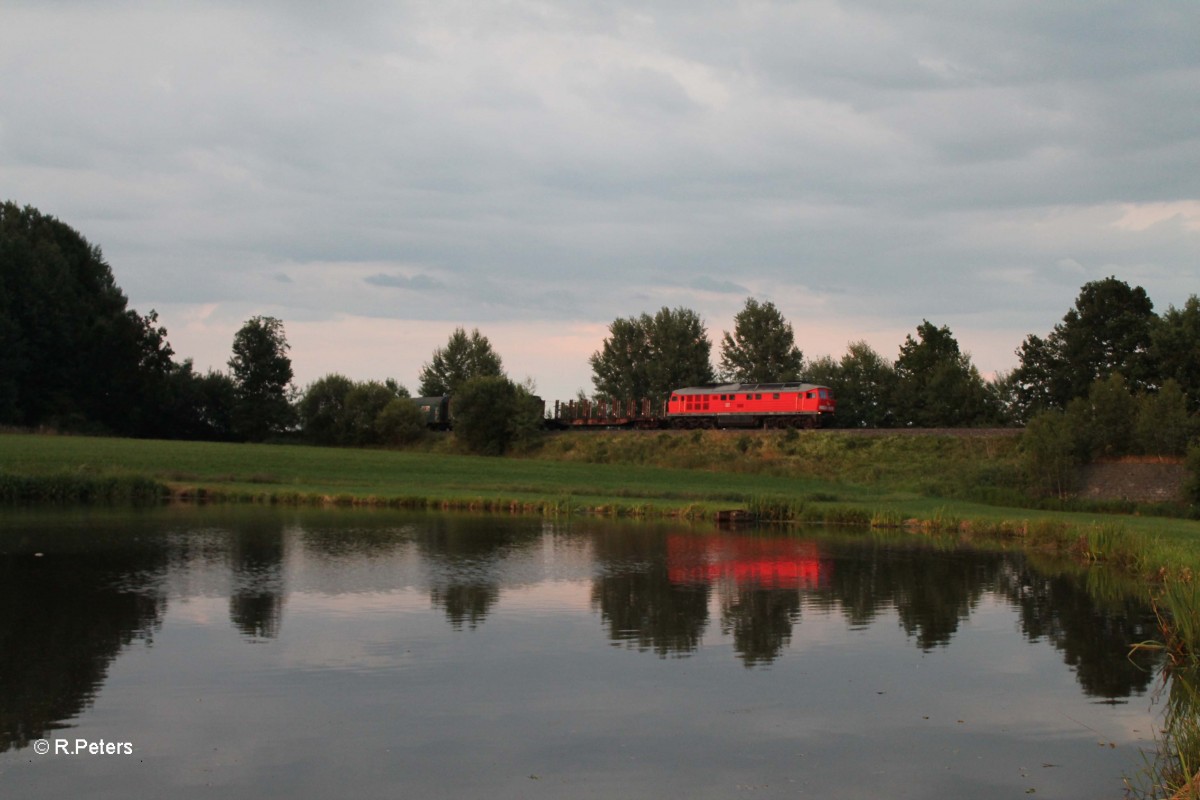 232 384-8 mit dem 45367 Cheb-Nürnberg südlich von Wiesau. 07.07.14