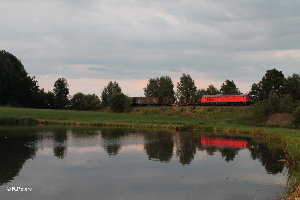 232 384-8 mit dem 45367 Cheb-Nürnberg südlich von Wiesau. 07.07.14