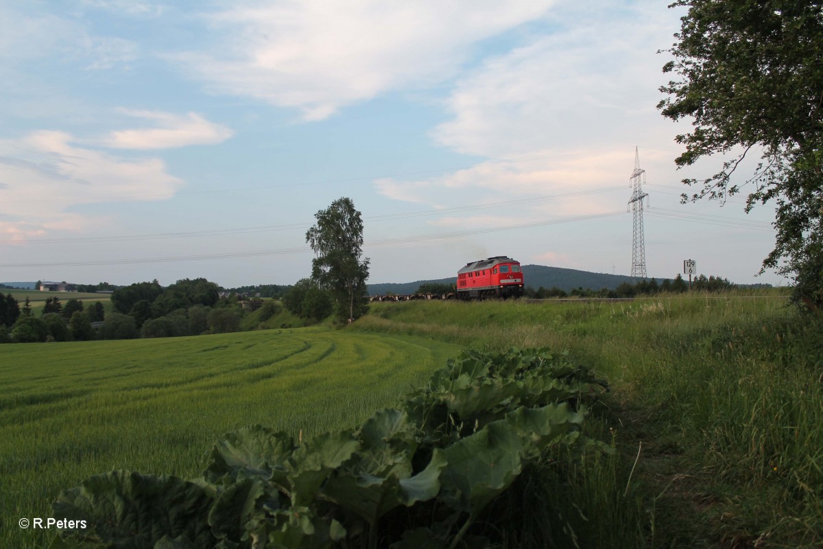 232 388-9 mit dem arg verspäteten 45460 XTCH - NNT beim Seußener Viadukt. 06.06.15