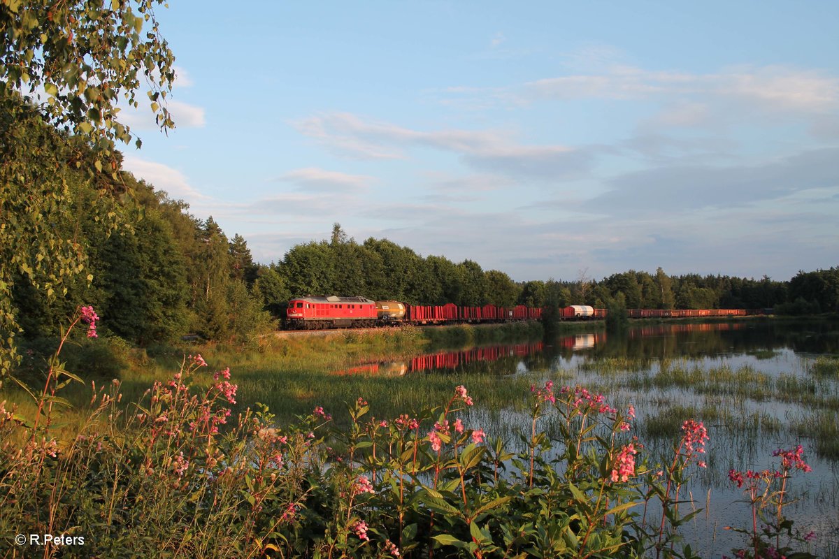 232 618-9 zieht kurz vor Wiesau/Oberpfalz den 51716 Nürnberg - Leipzig Engelsdorf. 28.07.16