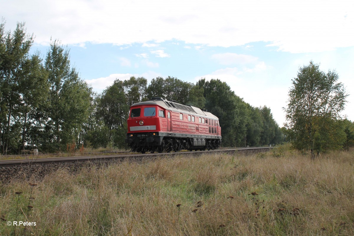 232 654-4 als Lz nach Marktredwitz bei Schnfeld. 30.09.13