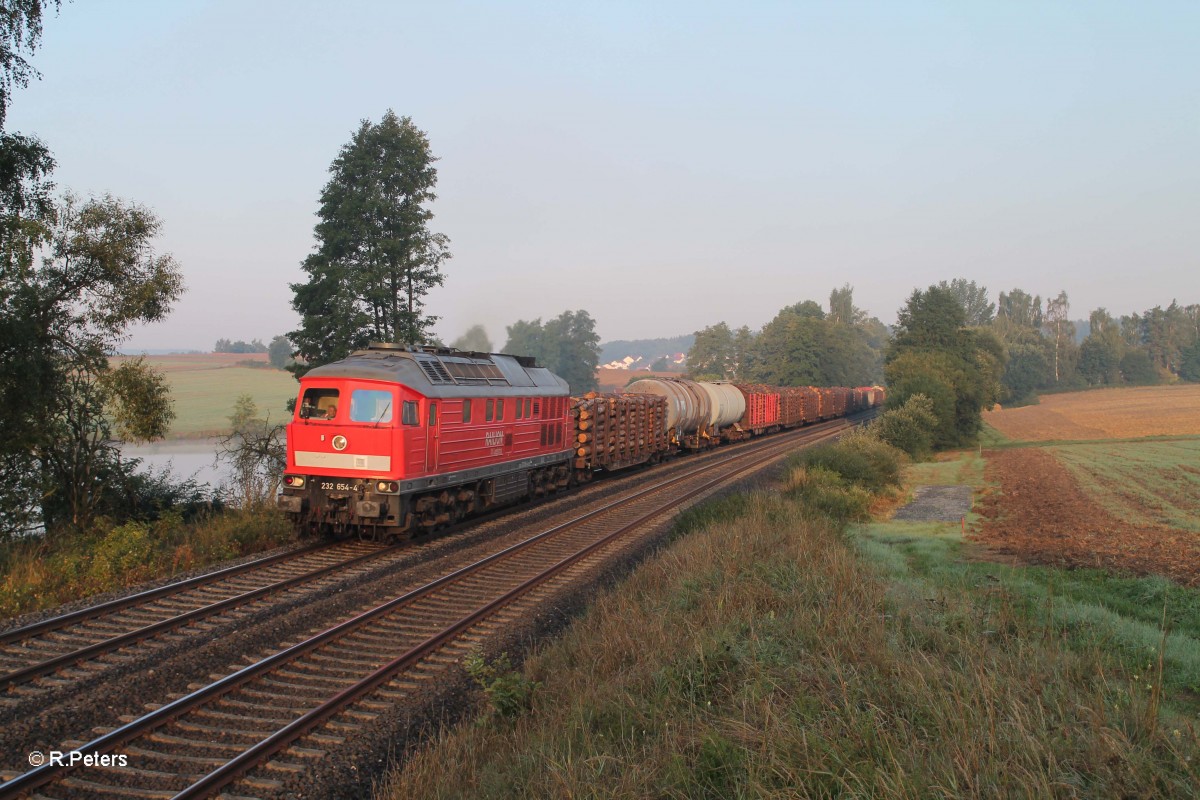 232 654-4 mit dem 45367 Nrnberg - Cheb bei Escheldorf. 30.08.13