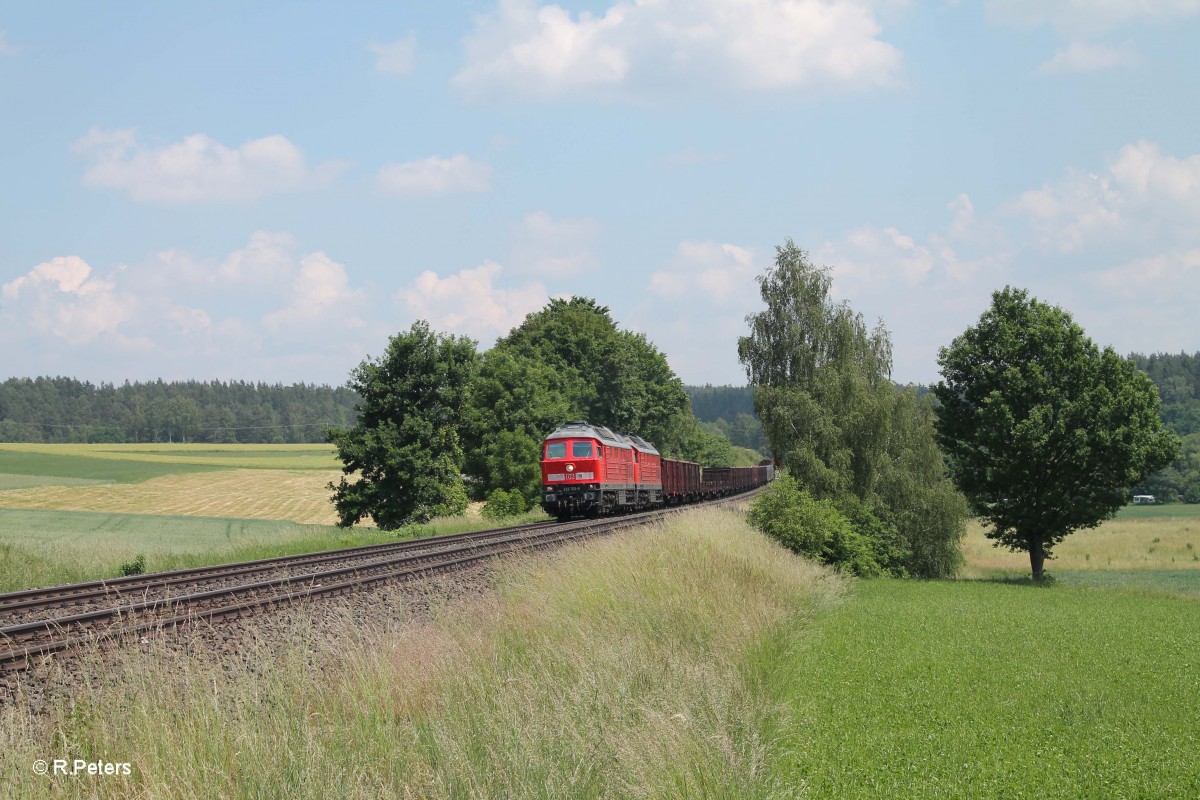 232 703-9 + 233 176 ziehen bei Naabdemenreuth den 45365 NNR - XTCH. 12.06.15