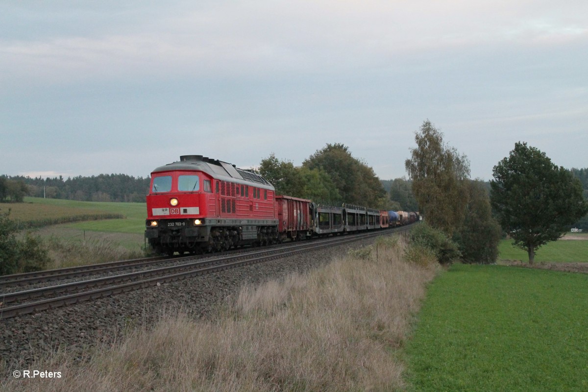 232 703-9 mit einer ihrer letzten Aufgaben vor der HU in Cottbus, hier mit dem 51750 Nrnberg - Leipzig Engelsdorf bei Naabdemenreuth. 08.10.14