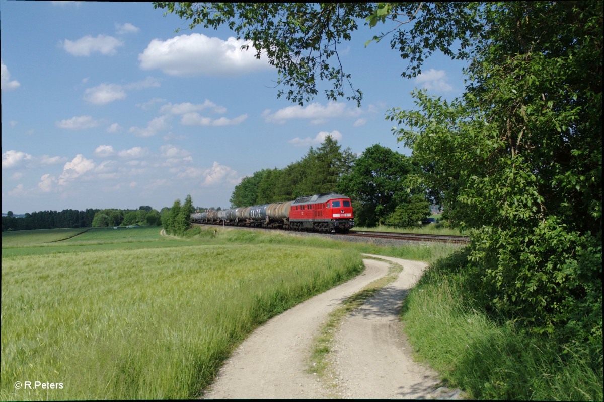 232 703-9 zieht den Kesselzug 98681 NHO - NNR hinter Waldershof. 12.06.15