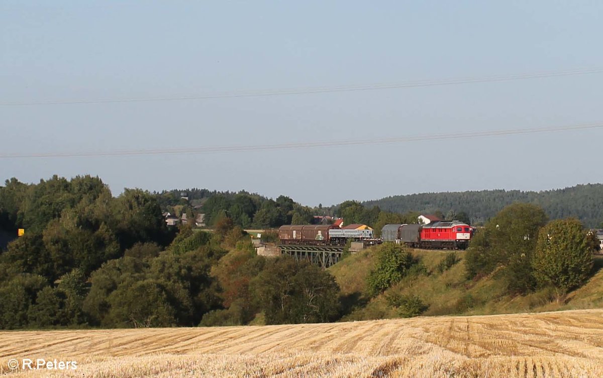 232 909-2 zieht über das Röslau Viadukt bei Seußen den 45366 XTCH nach NNR. 13.09.16