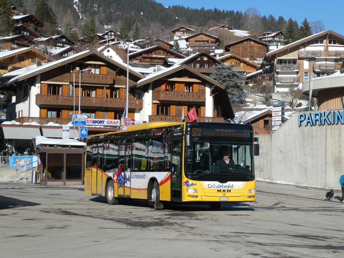 (232'882) - Grindelwaldbus, Grindelwald - Nr. 19/BE 363'305 - MAN/Gppel am 13. Februar 2022 beim Bahnhof Grindelwald