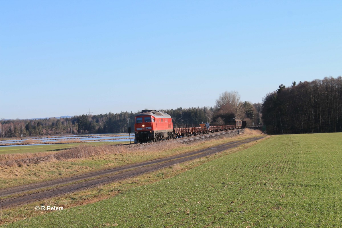 233 040-5 zieht bei Oberteich den 45365 NNR - XTCH. 29.01.16