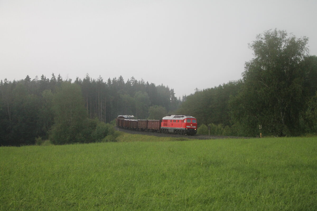 233 127 zieht bei strömenden Regen den EZ45366 XTCH - NNR bei Oberteich durch die Kurve. 25.06.21