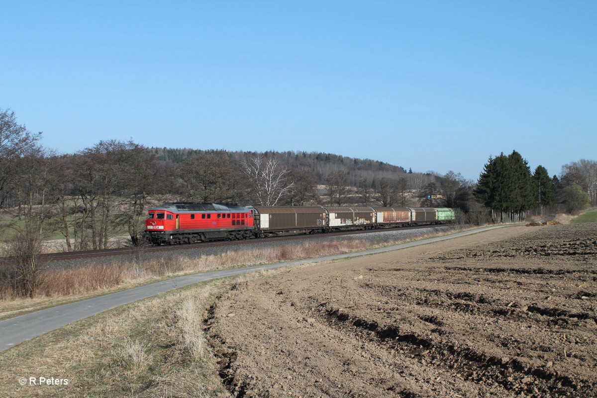 233 176-7 mit dem 45365 bei Lengenfeld. 13.03.14