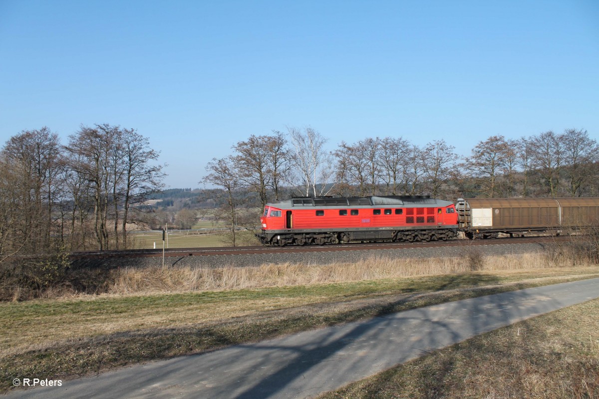 233 176-7 mit dem 45365 bei Lengenfeld. 13.03.14