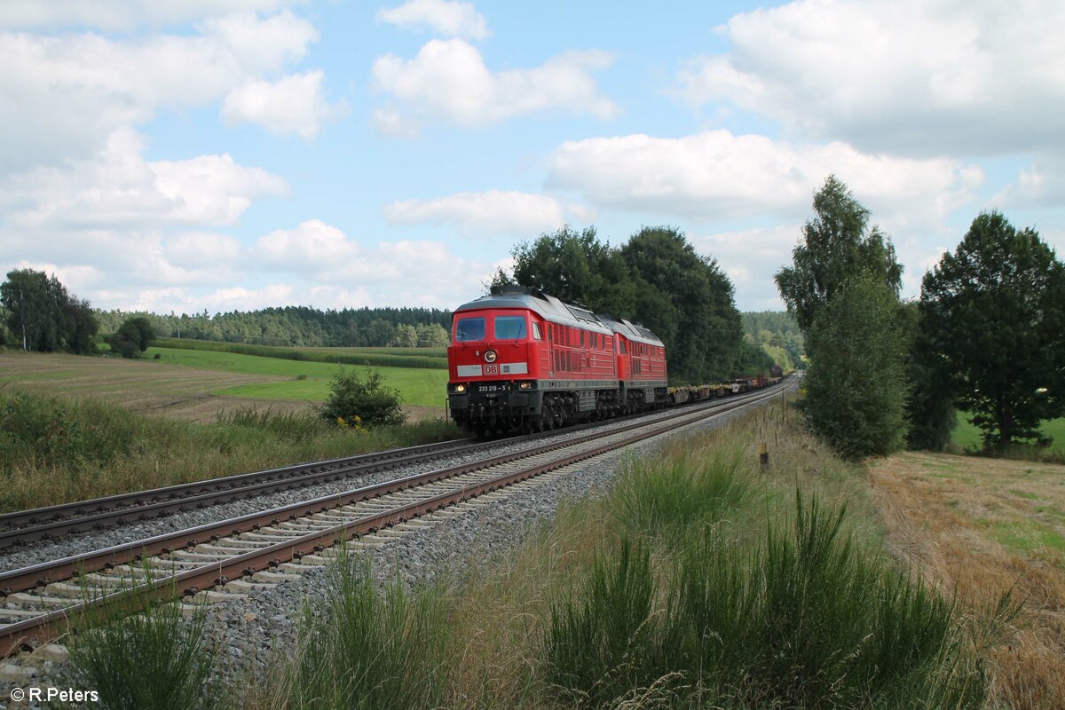 233 219-5 und 232 609 mit dem EZ 45365 Nürnberg - Cheb bei Naabdemenreuth. 01.09.21