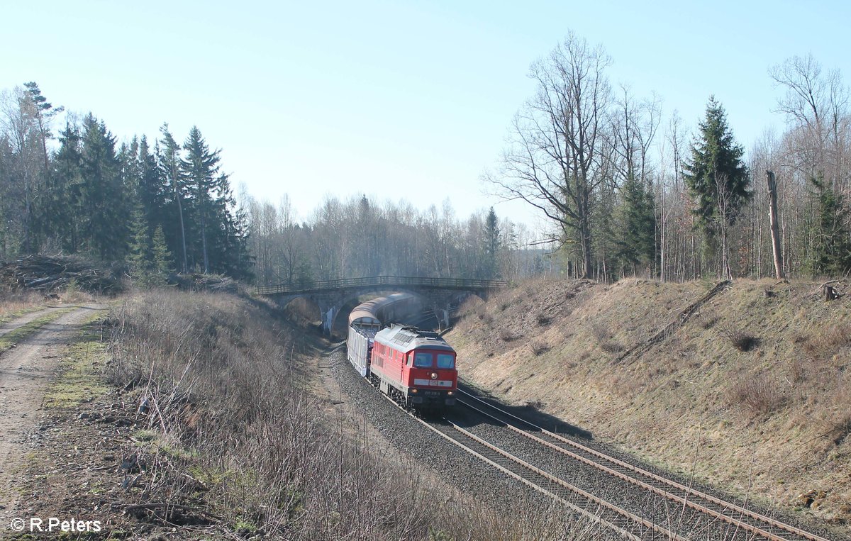 233 219 zieht den EZ 45367 Nürnberg - Cheb bei Schönfeld. 28.03.17