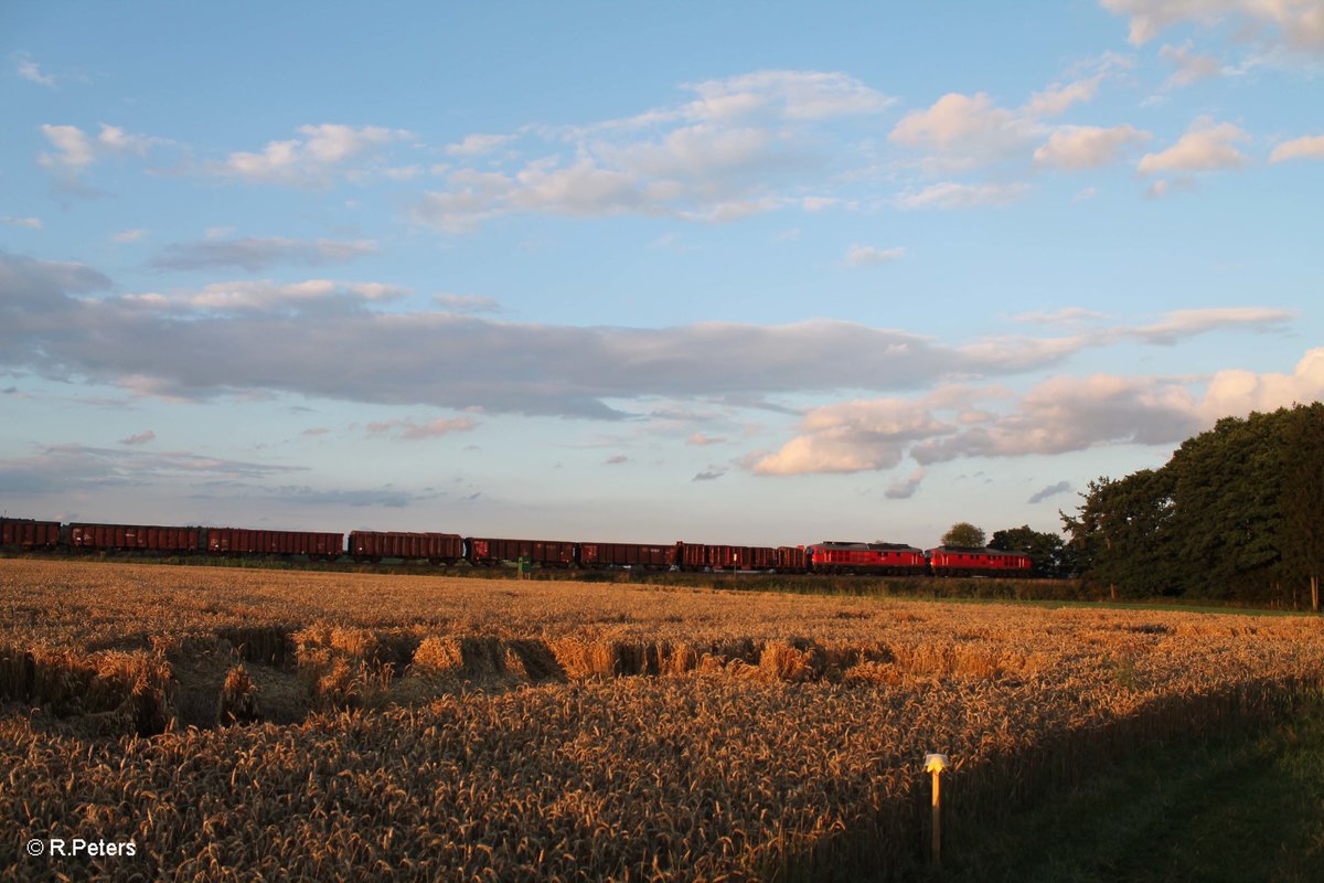 233 306 + 233 322 ziehen mit dem 45366 XTCH - NNR bei Oberteich vorbei. 29.06.17