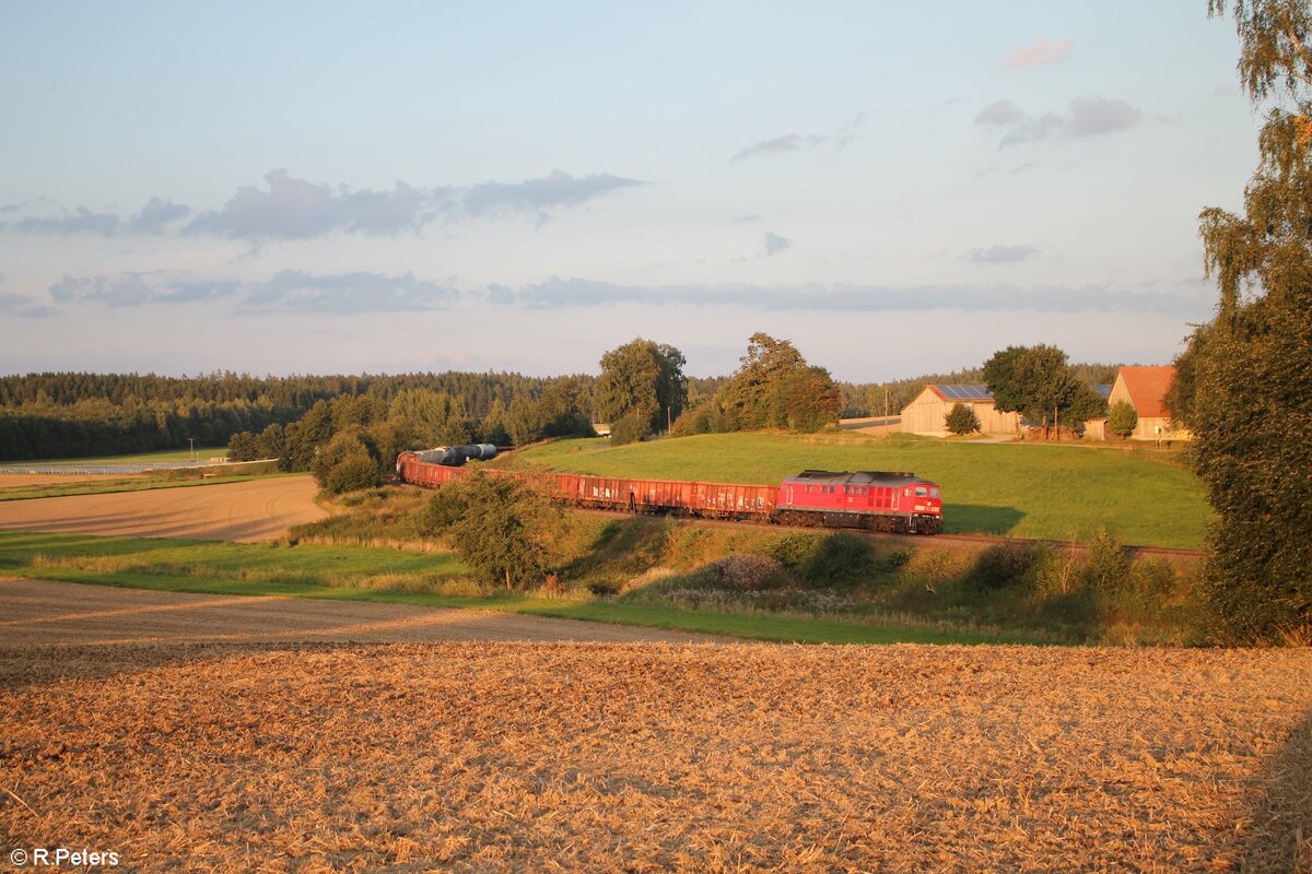 233 321-9 mit dem EZ 45366 XTCH - NNR bei Escheldorf. 14.09.21