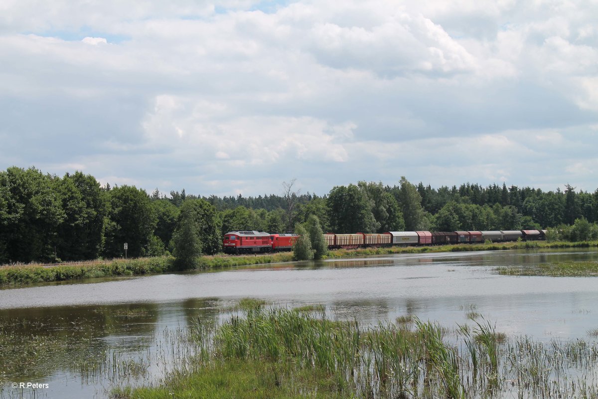 233 367 hat die 145 022 und den Frankenwald Umleiter 51723 NNR - LE im Schlepp und zieht hier gen NHO an mir vorbei. 09.07.16