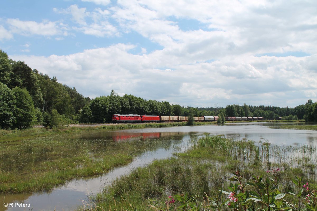 233 367 hat die 145 022 und den Frankenwald Umleiter 51723 NNR - LE im Schlepp und zieht hier gen NHO an mir vorbei. 09.07.16