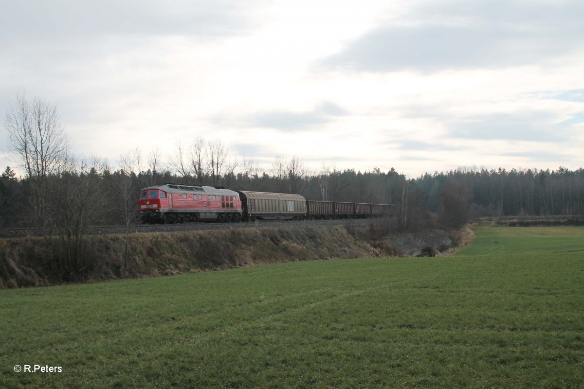 233 367 mit dem 45365 NN nach Cheb südlich von Wiesau. 03.01.14