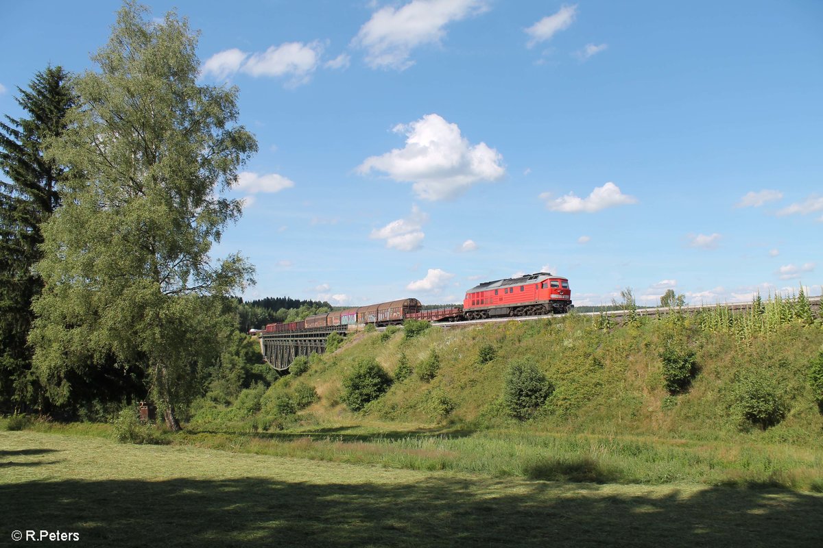 233 373 zieht bei Neusorg mit dem EZ 45368 XTCH - NNR übers Fichtelnaab Viadukt. 03.07.17