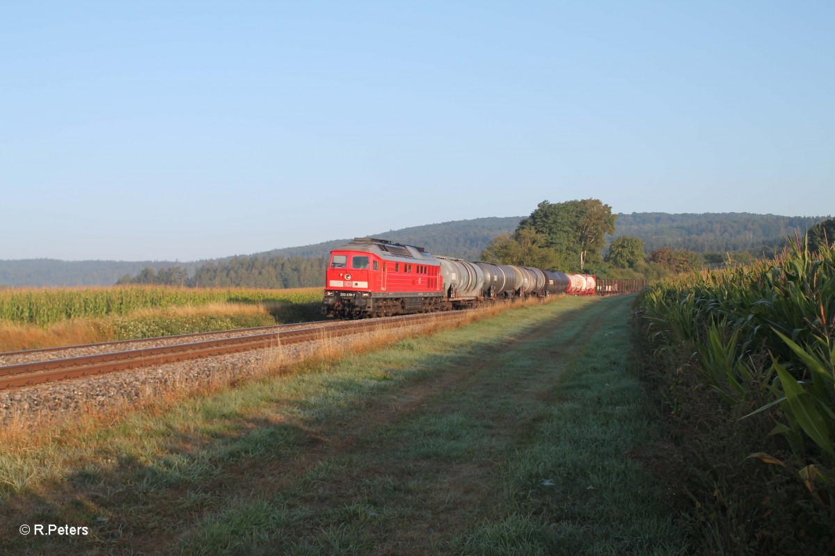 233 478-7 mit dem 45360 Cheb - Nrnberg bei Oberteich. 05.09.13