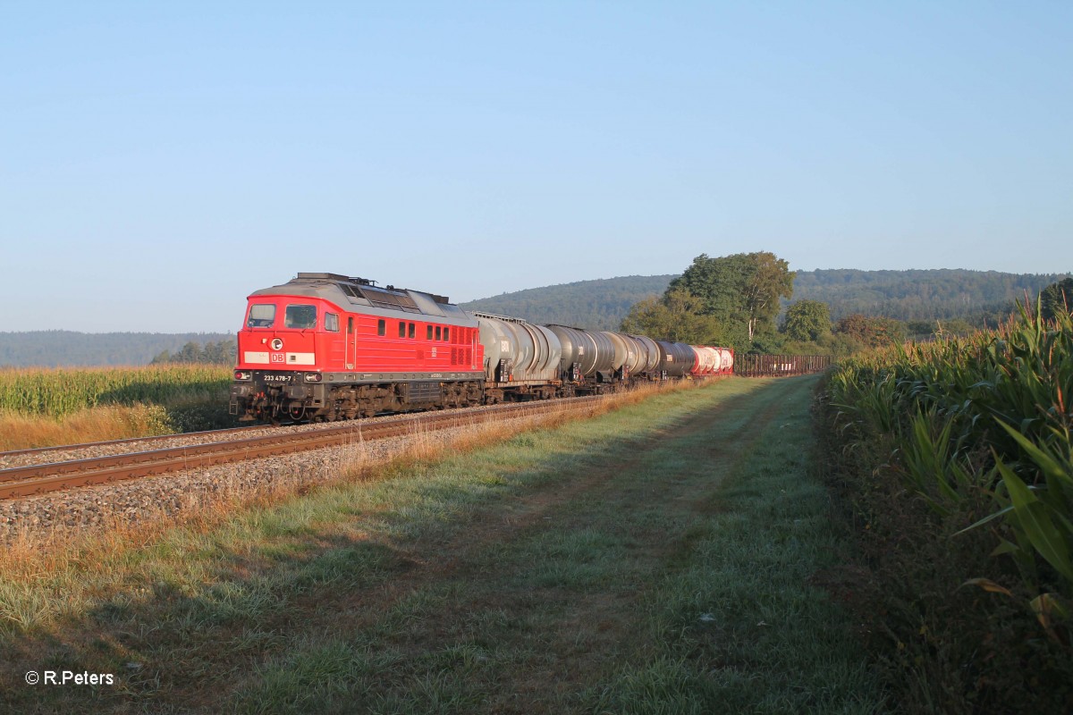 233 478-7 mit dem 45360 Cheb - Nrnberg bei Oberteich. 05.09.13