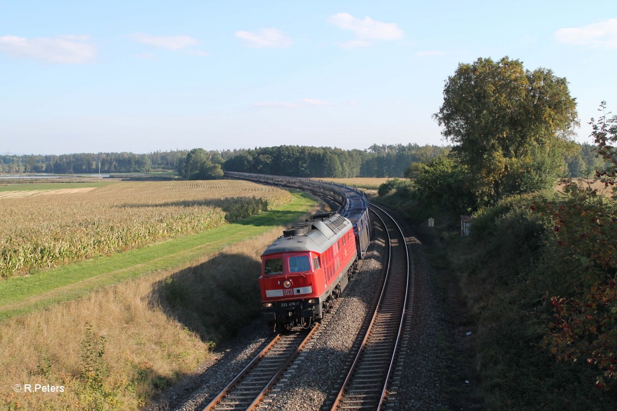 233 487 mit dem 49997 Nrnberg - Cheb leer Autozug bei Oberteich. 01.10.13