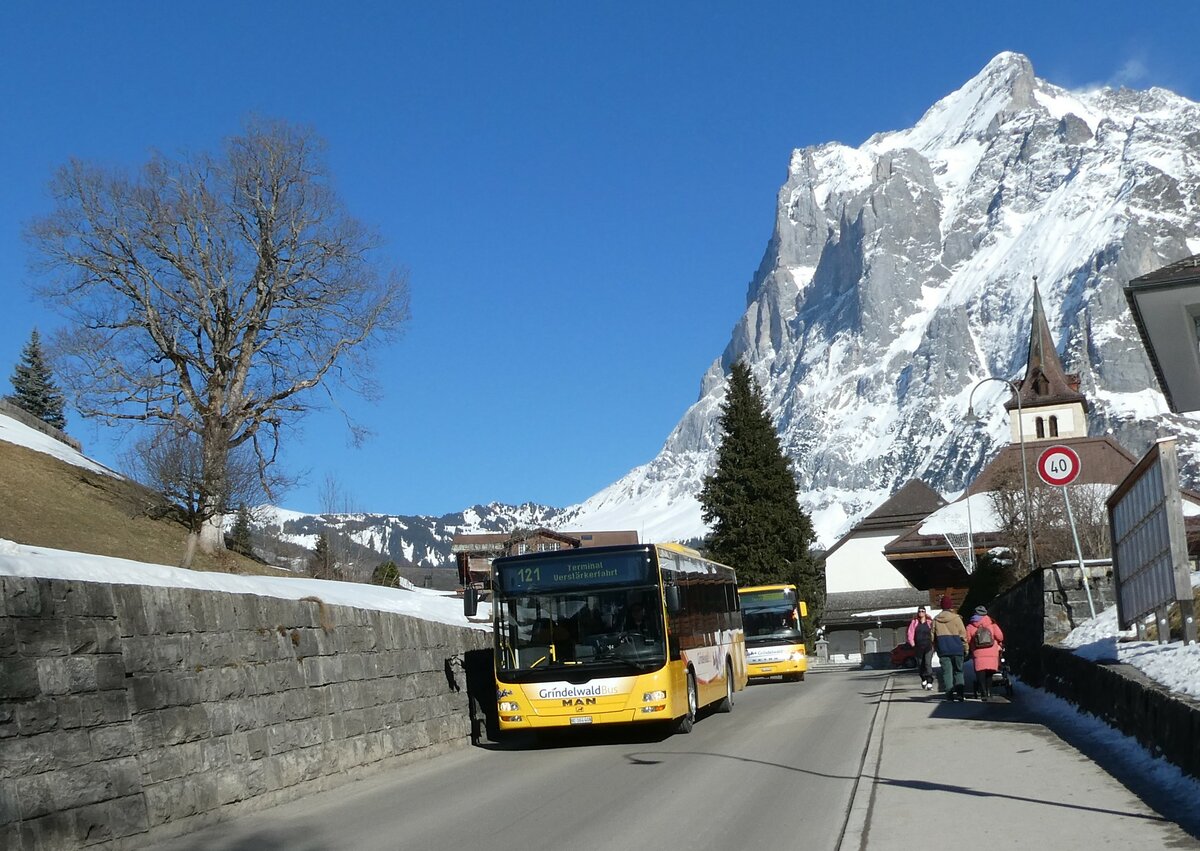 (233'278) - Grindelwaldbus, Grindelwald - Nr. 24/BE 364'408 - MAN/Gppel am 27. Februar 2022 in Grindelwald, Kirche