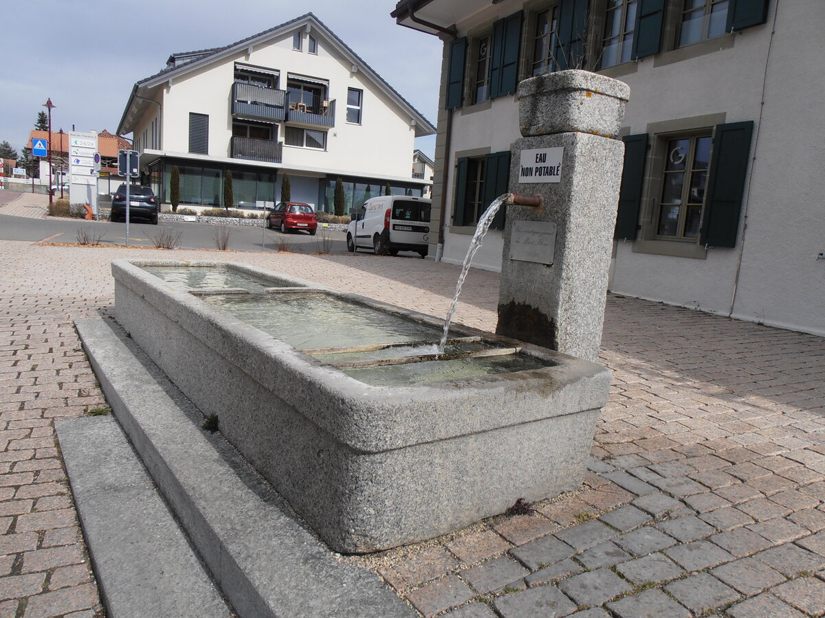 (233'925) - Brunnen von 1886 am 13. Mrz 2002 in Mzires, Village